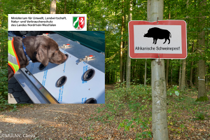 Zur schnellen Eindämmung der Tierseuche im Ernstfall erweitert NRW die eigene Suchhundeeinheit.